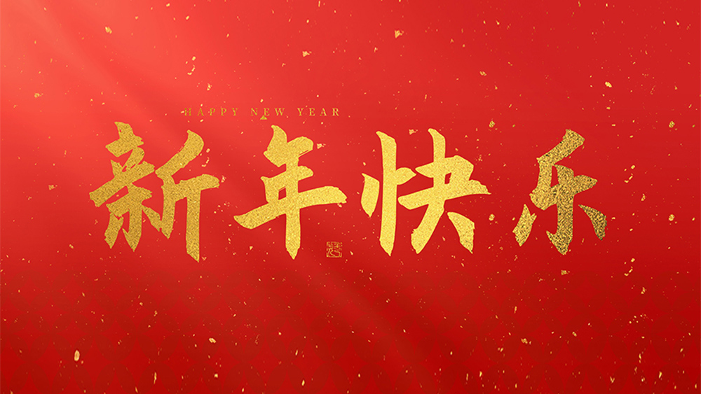 麗水市威儀自動(dòng)化技術(shù)有限公司祝全國(guó)人民2024年新年快樂(lè)！